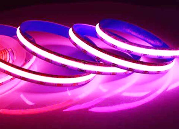Fábrica de luces de tira de bajo voltaje